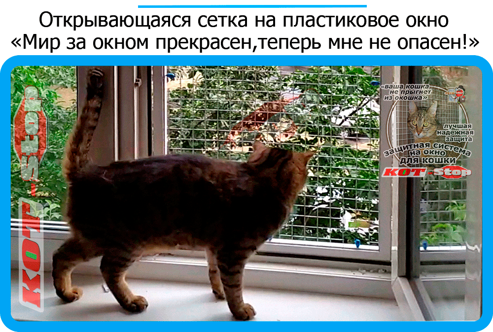 16,защитная сетка решетка для кошек киев,кошки,антикошка киев,сетка на окно,кот стоп,кот stop