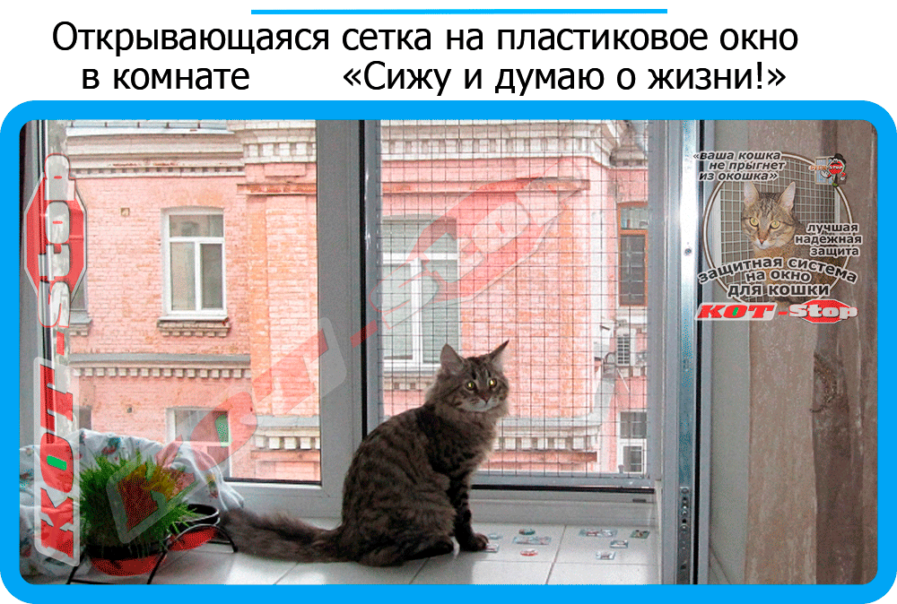 21,защитная сетка решетка для кошек киев,кошки,антикошка киев,сетка на окно,кот стоп,кот stop