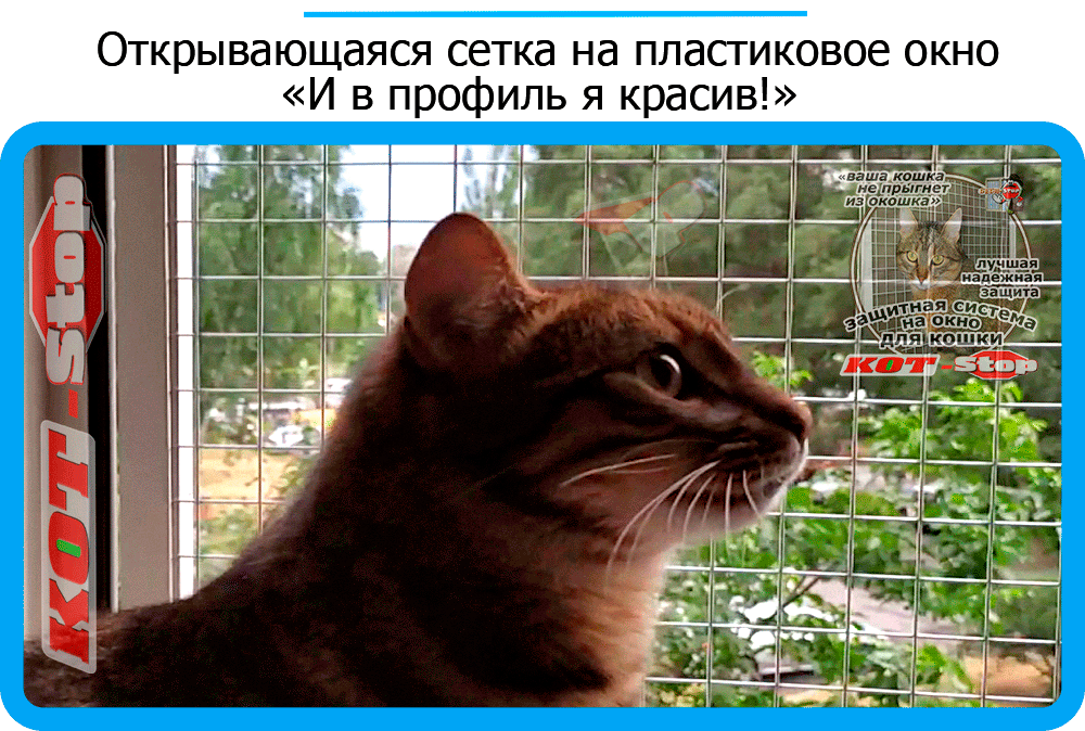 22,защитная сетка решетка для кошек киев,кошки,антикошка киев,сетка на окно,кот стоп,кот stop
