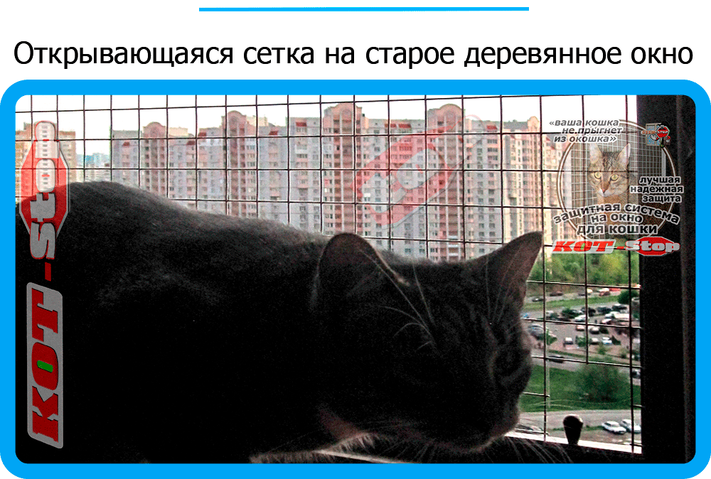 32,защитная сетка решетка для кошек киев,кошки,антикошка киев,сетка на окно,кот стоп,кот stop
