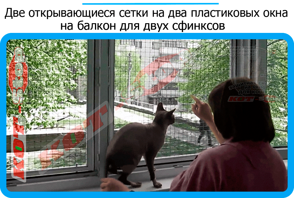 38,защитная сетка решетка для кошек киев,кошки,антикошка киев,сетка на окно,кот стоп,кот stop