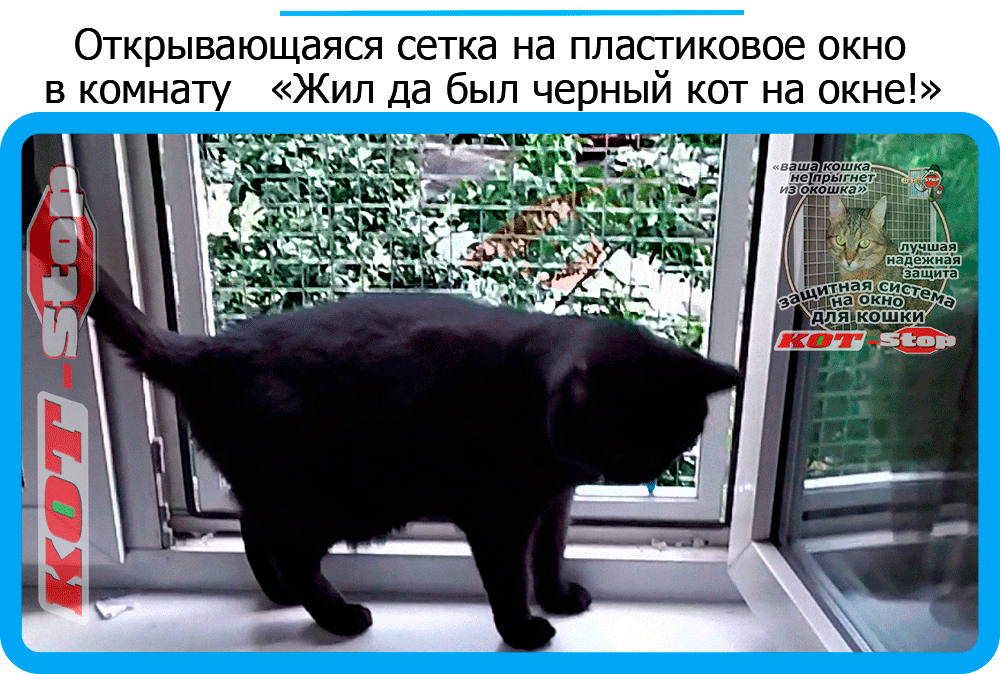 40,защитная сетка решетка для кошек киев,кошки,антикошка киев,сетка на окно,кот стоп,кот stop