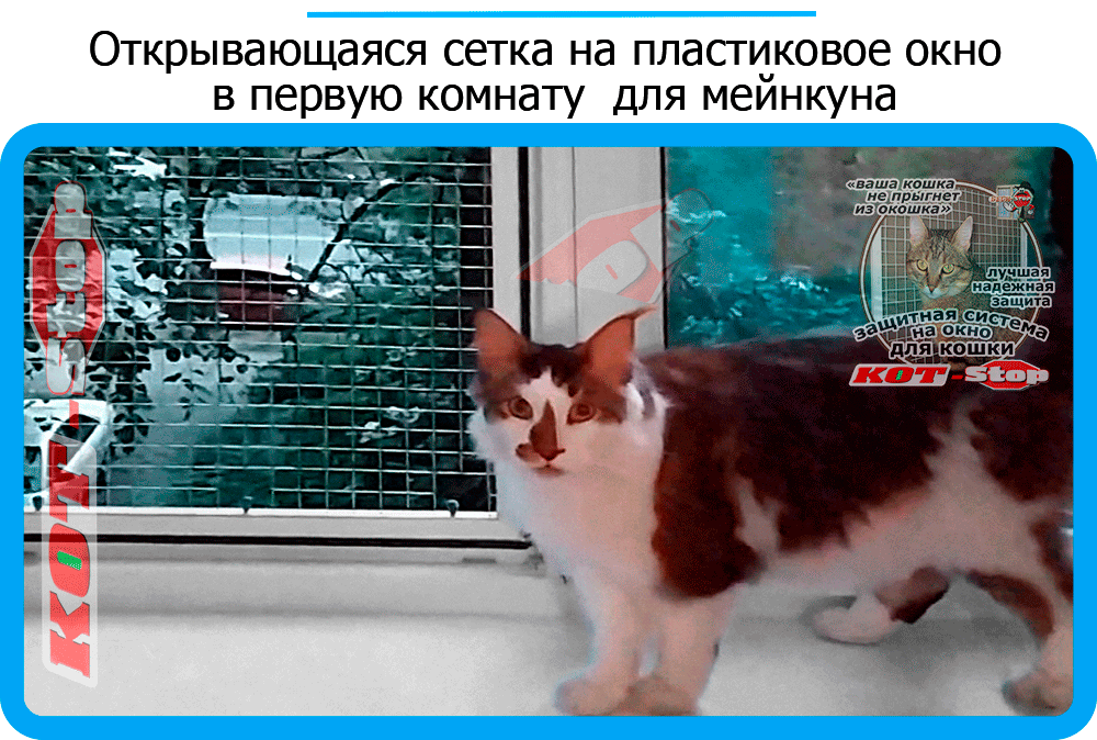 41,защитная сетка решетка для кошек киев,кошки,антикошка киев,сетка на окно,кот стоп,кот stop