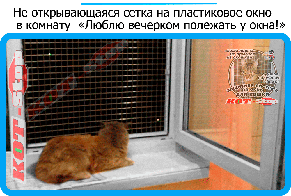 43,защитная сетка решетка для кошек киев,кошки,антикошка киев,сетка на окно,кот стоп,кот stop