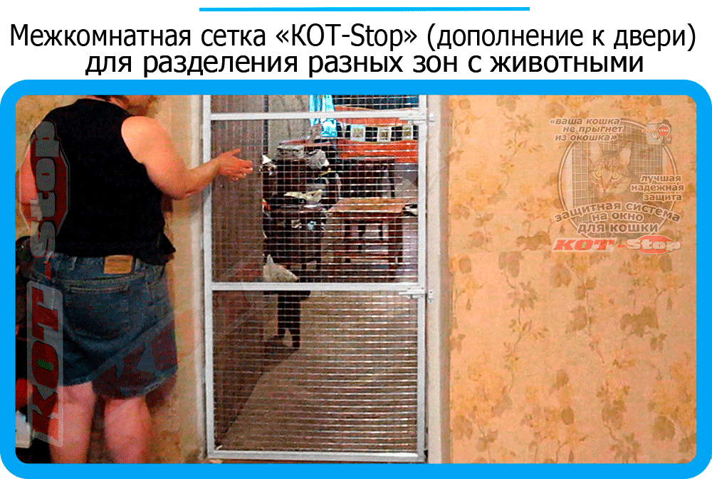31,защитная сетка решетка для кошек киев,кошки,антикошка киев,сетка на окно,кот стоп,кот stop