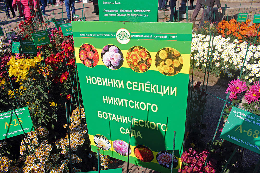 VFL.RU - ваш фотохостинг VFL.RU - ваш фотохостинг