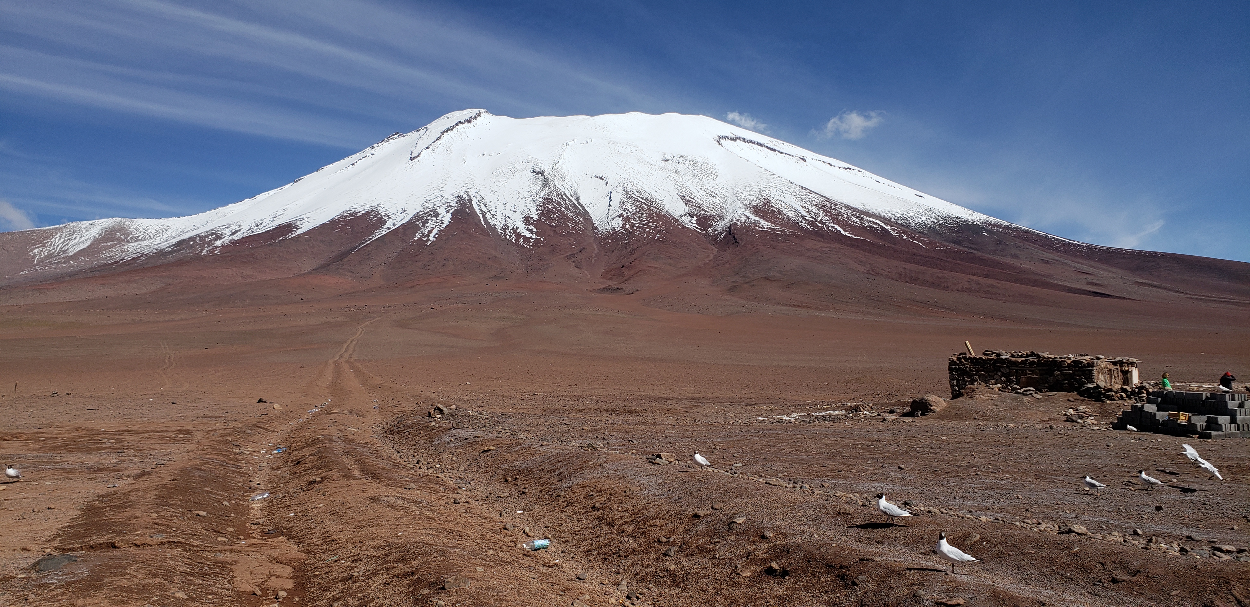 The Juriques Volcano, Bolivian Highlands (Altiplano Boliviano) at 4,350 meters (14,270 feet), Sur Lípez, Potosí, Bolivia.