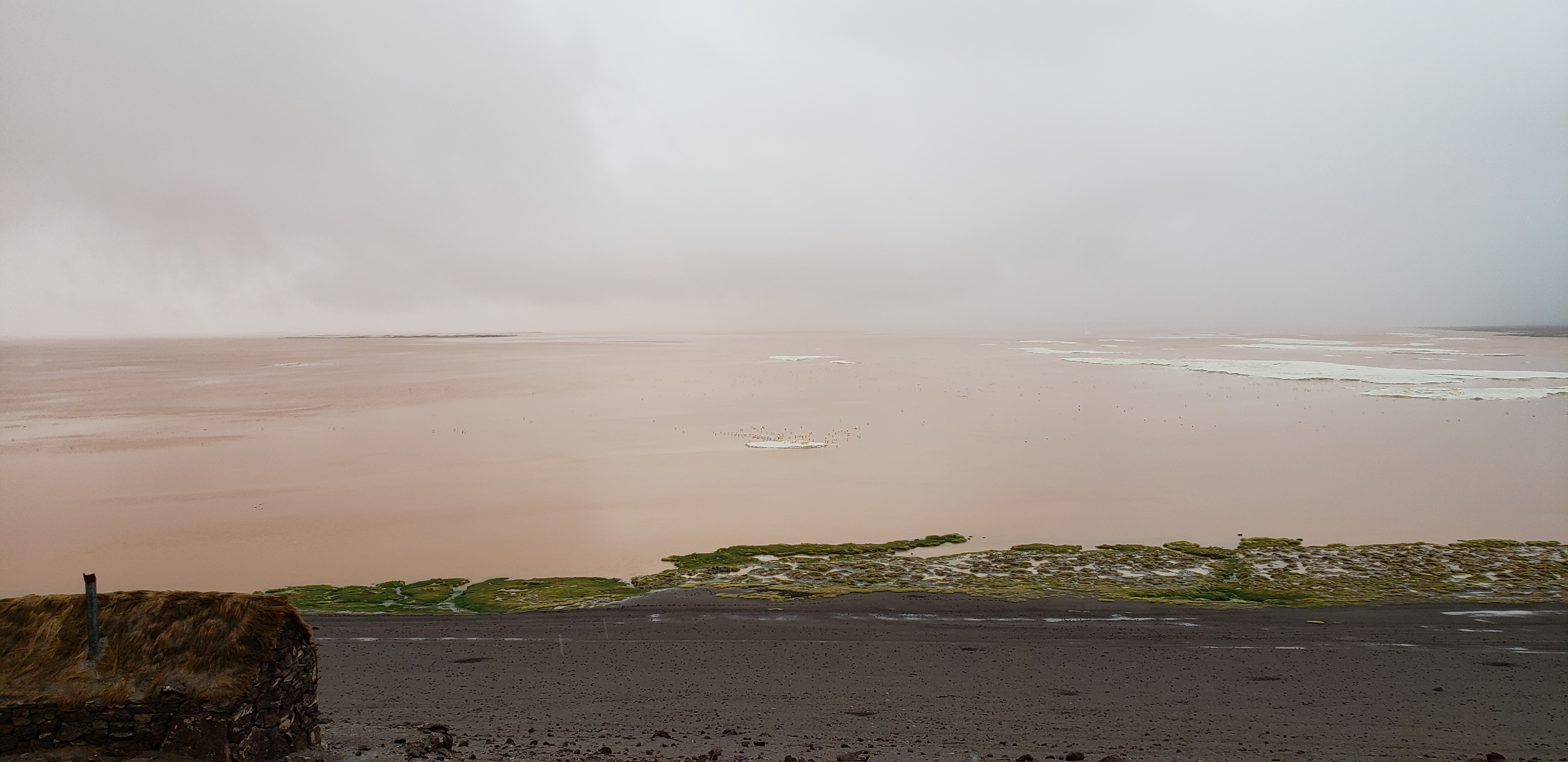 The Red Lagoon (Laguna Colorada) at 4,278m. (14,035 ft.), Altiplanos Bolivianos (Bolivian Highlands), Potosí, Bolivia. We arrived at Laguna Colorada already at sunset, so the waters are not as red as they usually are, they tell us. Even so, we caught thousands of flamingos, well merry, eating at the edge of the pond. It's a wonderful image. We spent more than an hour wandering around the side, photographing the flamingos, listening to the Andean wind, or, standing there, just looking! According to Poli, our coveted guide, the reddish color of the lagoon is due to sediments deposited by a kind of seaweed. He also told us that flamingos feeding on these waters will also get a reddish hue, since when they are born they are grayish. And speaking of flamingos, from the photos you can see that they abound here. There are James Flamingos, Andean flamingos and Chilean flamingos. The color of the pond looks more brick color than bright red, alive as the red of many photos that circulate on the net. The end of day light also does not help anything besides the rains and snow in the summer! There is a bit of disappointment in our countenance. The lagoon contains some islands of borax salt, whose white color contrasts with the reddish color of the waters. Laguna Colorada is one of the Wetlands of International Importance of the Ramsar Convention.