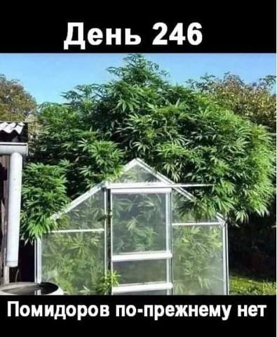 28513592_m.jpg