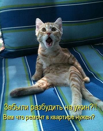 Улыбка (юмор, добрые анекдоты, смешные картинки) - Page 2 28517261