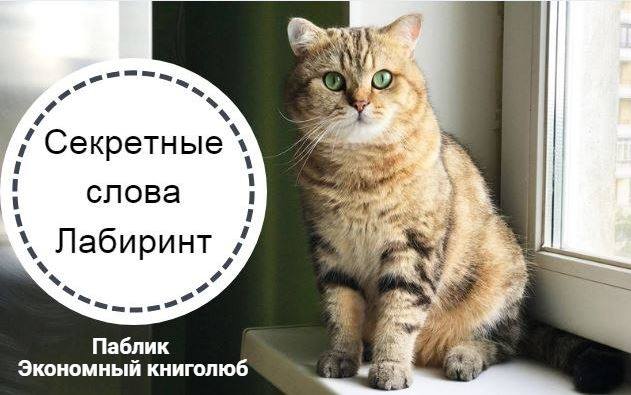 лабиринт промокоды и слова лабиринт промокоды и слова