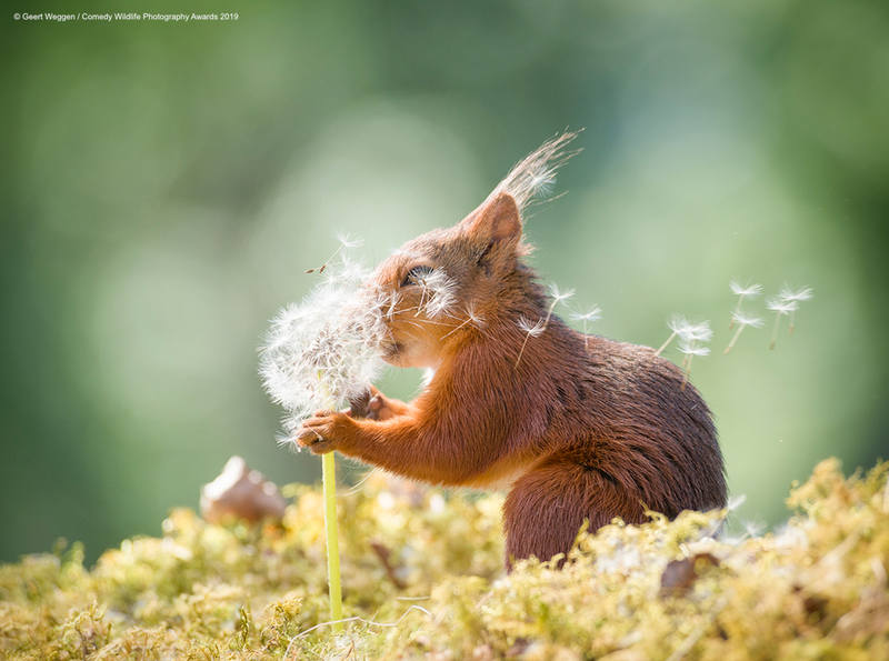 Лучшие фото 2019 Лучшие фото 2019