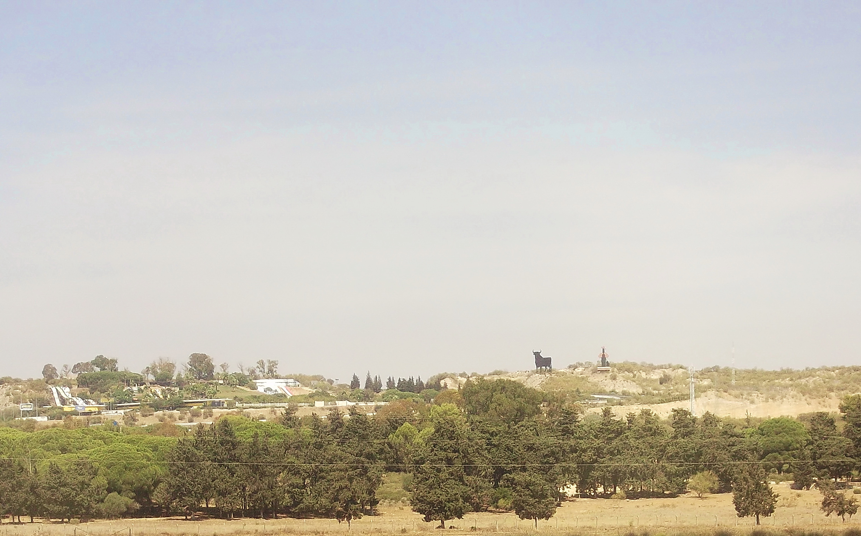 DSCF4830-хор-бык