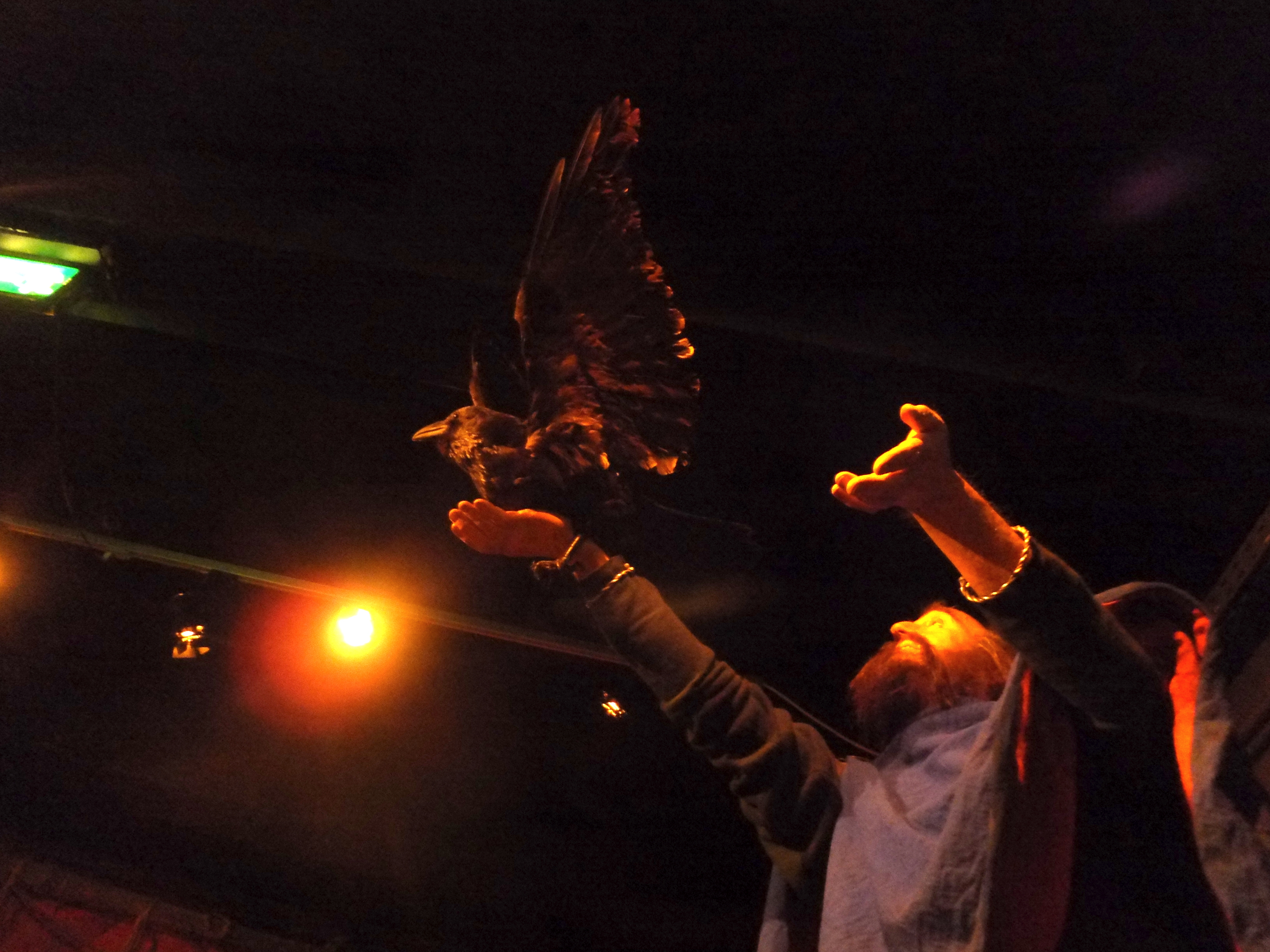 Saga Museum - man with ravens