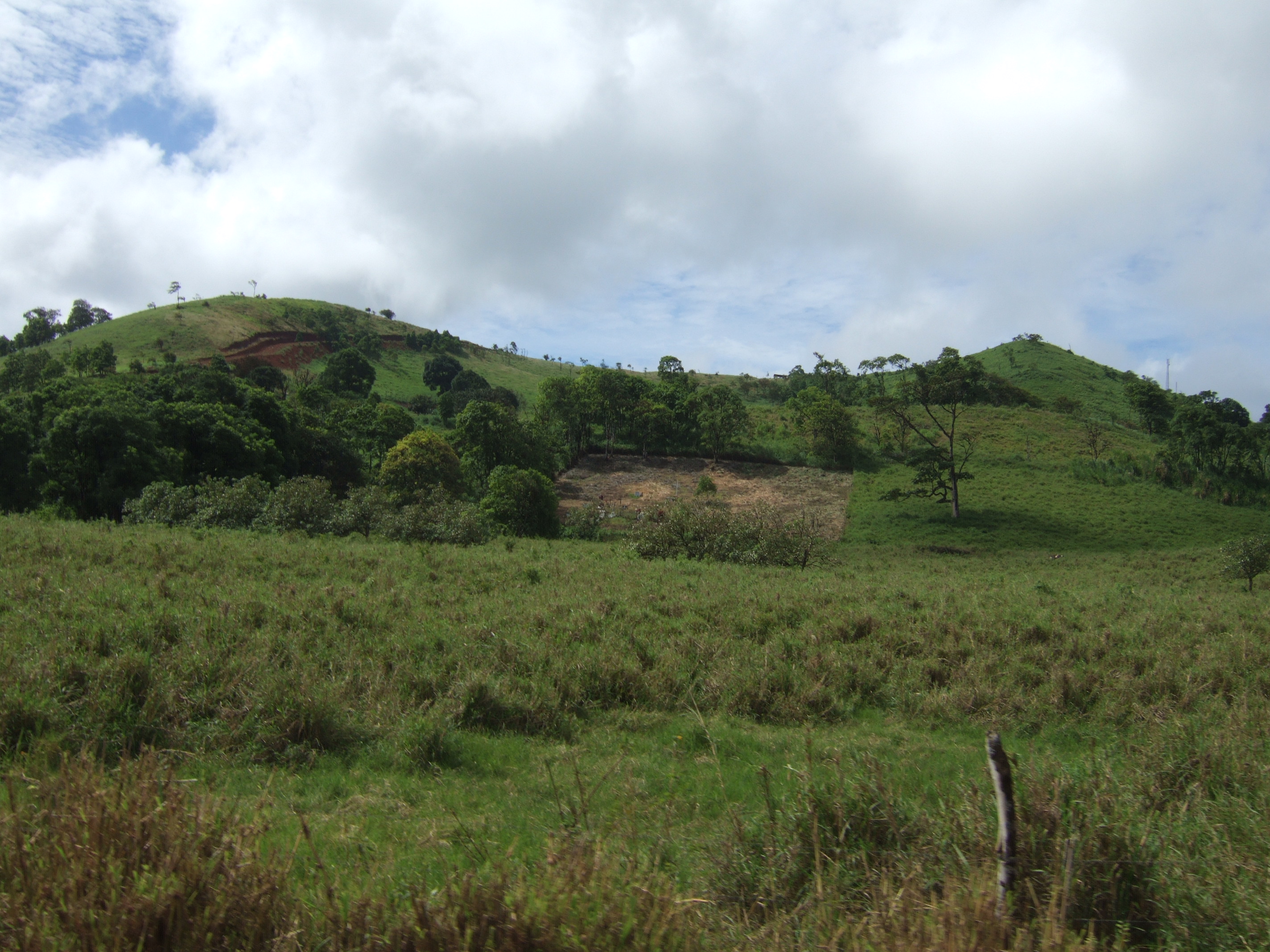 Giant tortoise reserve Our afternoon visit was to the tortoise reserve.