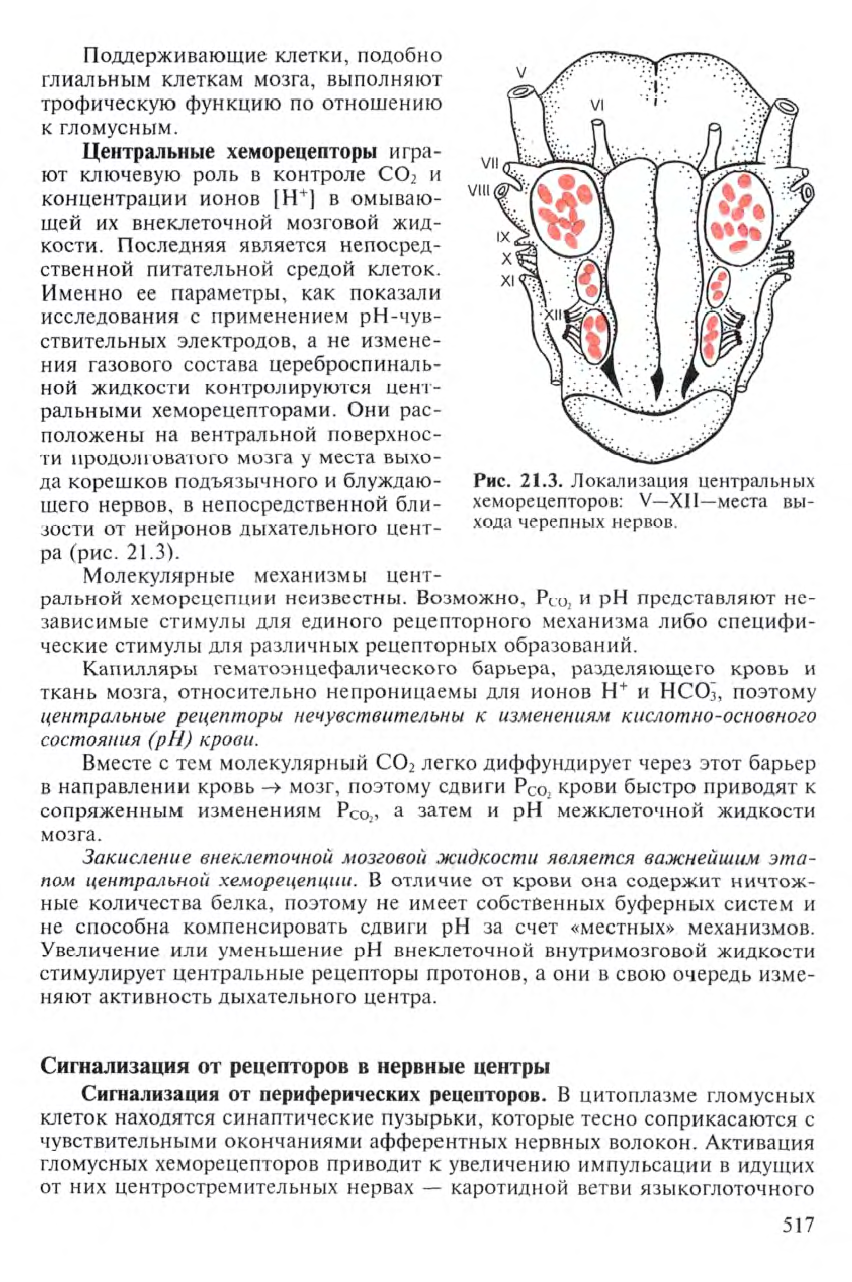 [Физиология] Судаков К.В. - Физиология. Основы и функциональные системы ...