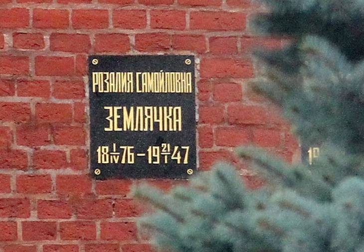 roza-zemlyachkka5 roza-zemlyachkka5