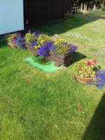 сентябрь 2018 112