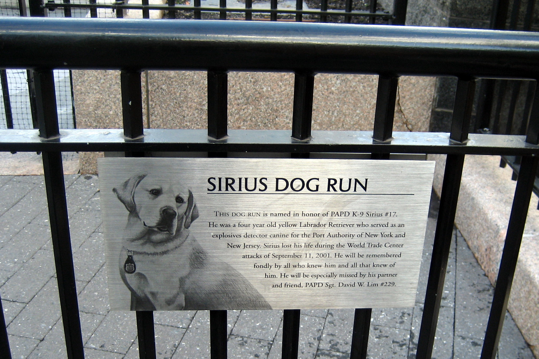 NYC - Battery Park City: Monsignor John J. Kowsky Plaza - Sirius Dog Run Kowsky Plaza, formerly known as Pumphouse Plaza, is located on the roof of an underground pumping station that was used to supply water to the cooling towers of the World Trade Center. It was in the midst of a redesign when the attacks of 9/11 delayed the project. This dog run is named in honor of PAPD K-9 Sirius #17. He was a four year old yellow Labrador Retriever who served as an explosives detector canine for the Port Authority of New York and New Jersey Police Department. Sirius, along with his partner, Police Officer David Lim, were assigned to the World Trade Center in New York, where their primary duty was to check vehicles entering the Complex, clear unattended bags and sweep areas for VIP safety. Sirius, who began work at the World Trade Center on July 4, 2000, was the only police dog to perish during the Sept. 11 attack on the Twin Towers – he died when Tower Two collapsed. His body was recovered on January 22, 2002. Sirius was posthumously awarded the Victoria Cross at the British Embassy in Manhattan.