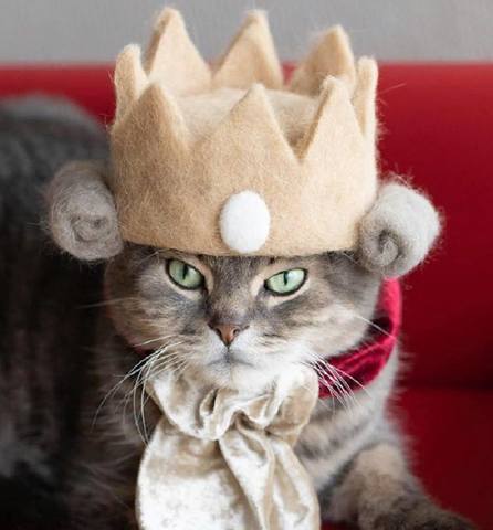 Тарталетки & Ко