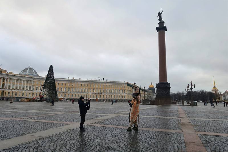 Главная елка Петербурга Главная елка Петербурга