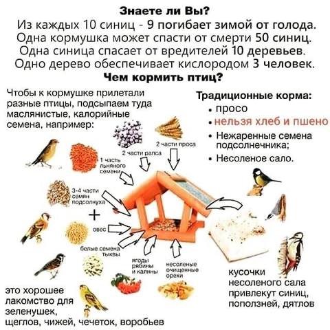 Загородная жизнь - обустройство жизни на своей земле во всем ее разнообразии