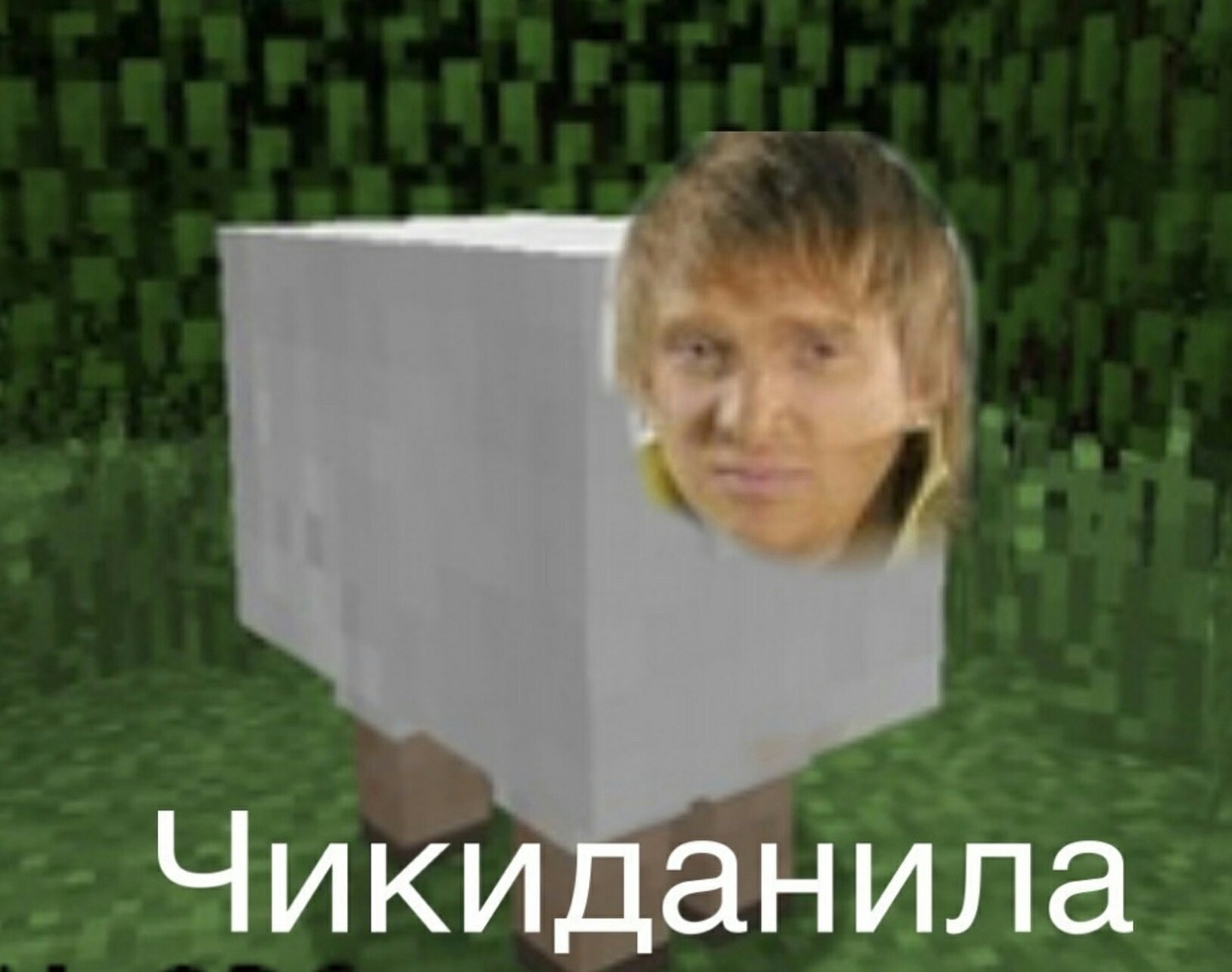 28915677.jpg