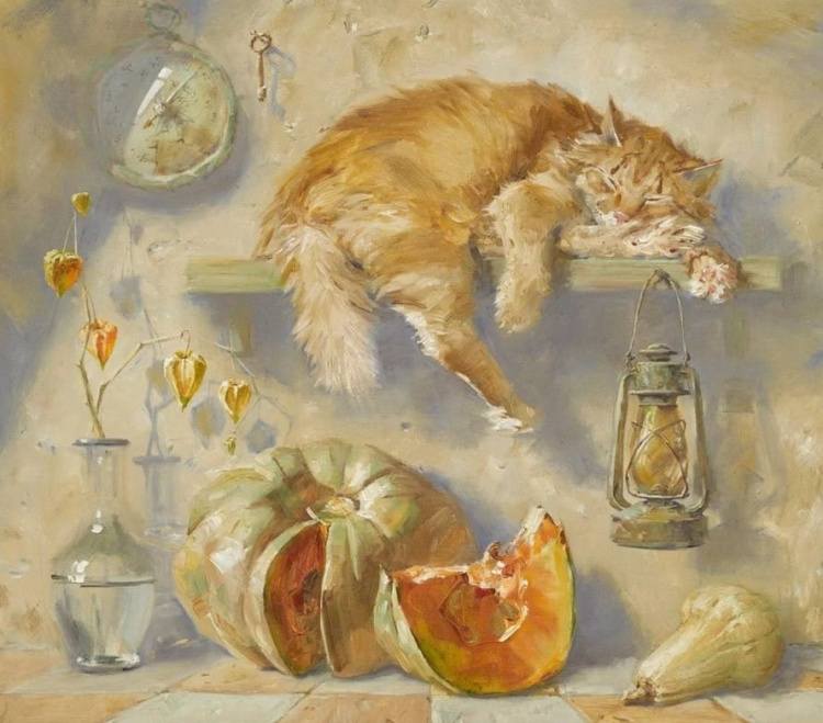 Коты и кошки Петербурга Коты и кошки Петербурга