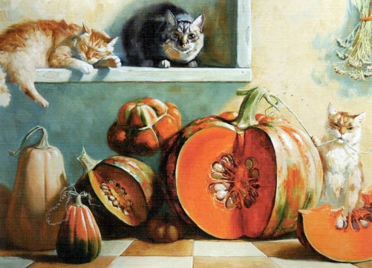 Коты и кошки Петербурга Коты и кошки Петербурга