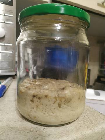 Итальянская закваска (Levito madre) - выращивание и уход
