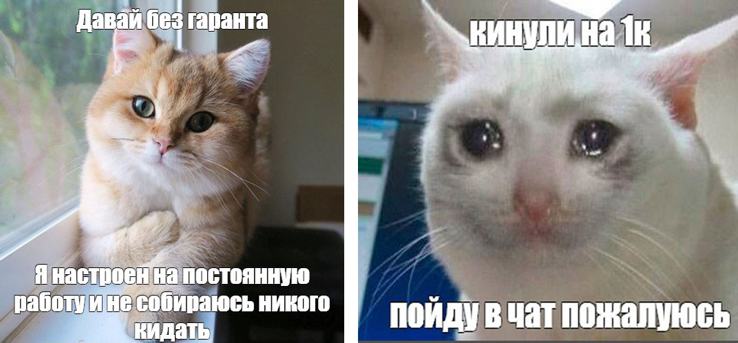 28945115.jpg