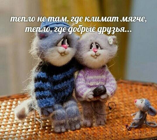 Тарталетки & Ко