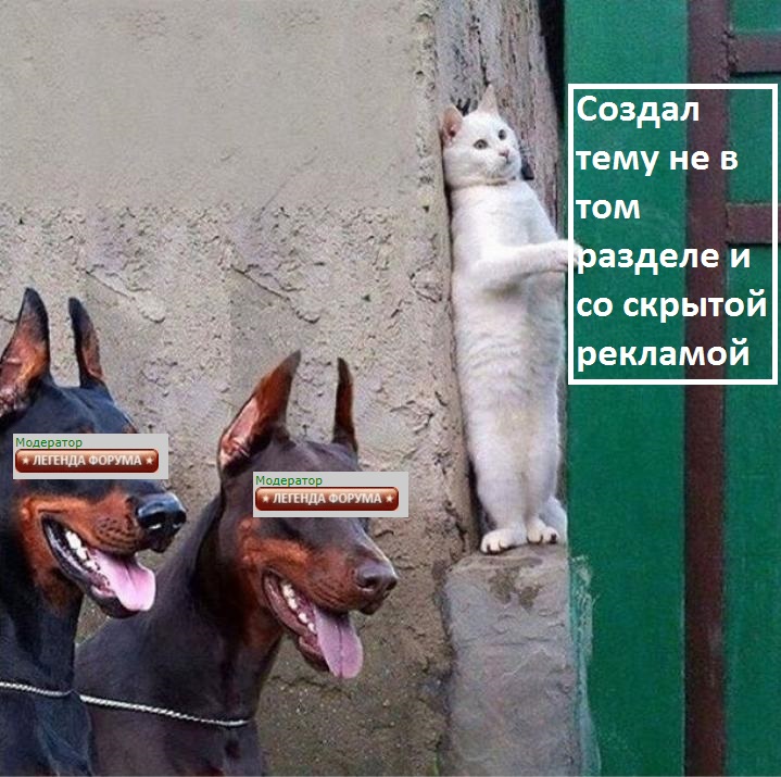 28969539.jpg