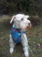 VFL.RU - ваш фотохостинг