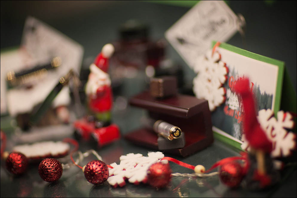 Merry Christmas and Happy New Year. Lenskiy.org