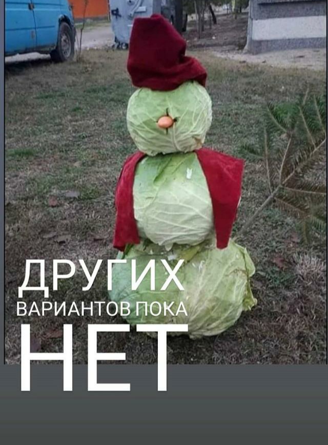 29007231.jpg