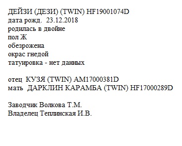 ДЕЙЗИ анк Irateplay