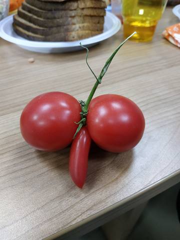 29049127_m.jpg