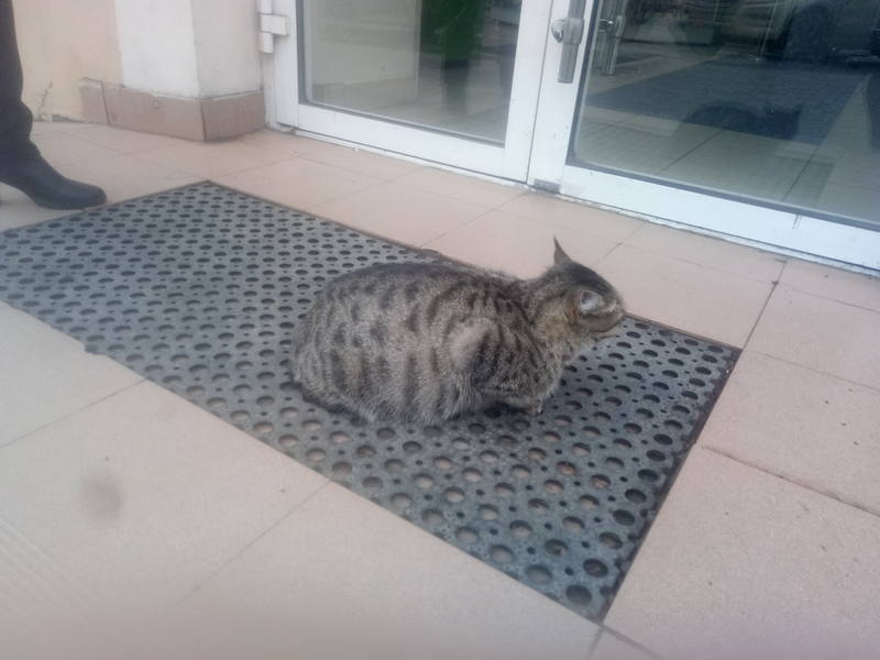 2019,12.17 стерилка фото 3а