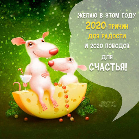 Хочешь быть газелью? Готовь вместе с Гюзелью!