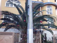 VFL.RU - ваш фотохостинг