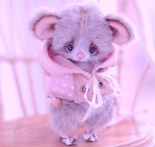 Тарталетки & Ко