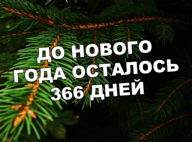 Тарталетки & Ко