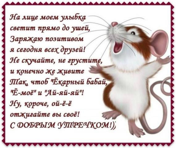 Тарталетки & Ко