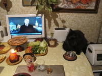 VFL.RU - ваш фотохостинг