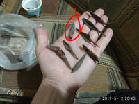 user posted image