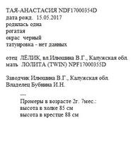 Тая-Анастасия анк Ирина1971Алексин