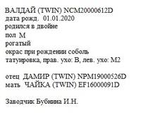 Валдай анк Ирина1971Алексин