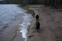 VFL.RU - ваш фотохостинг