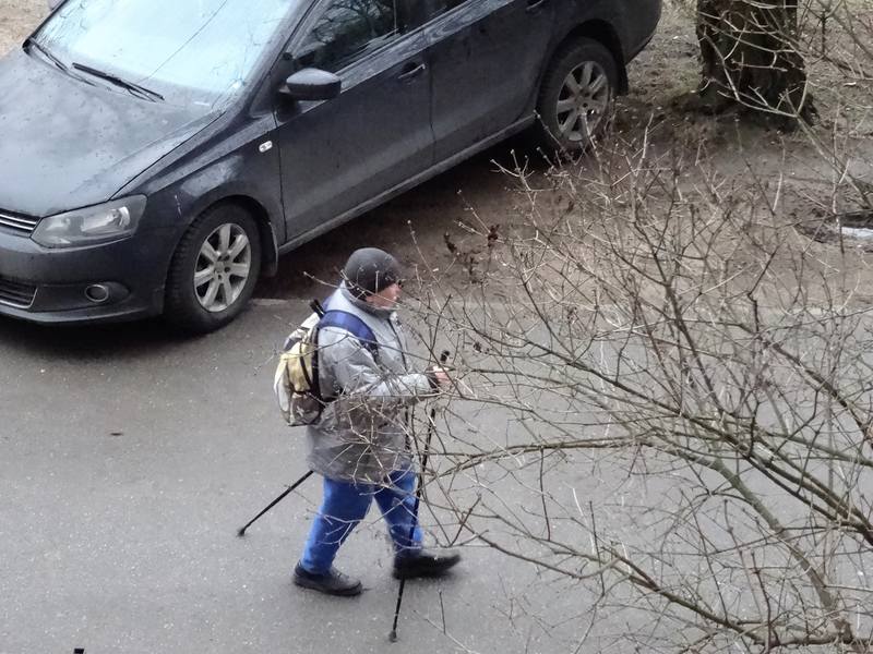 Птички по четвергам Птички по четвергам